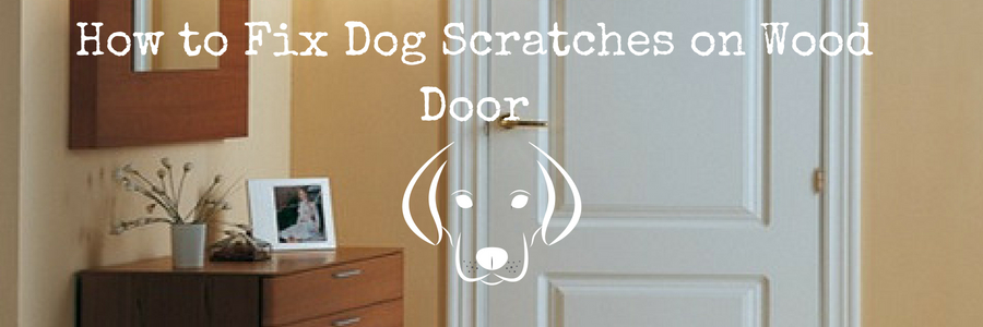 How To Fix Dog Scratches On Wood Door